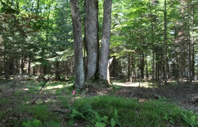 $186,000 | Forest Lane, Unit 3, Pickerel, WI 54465