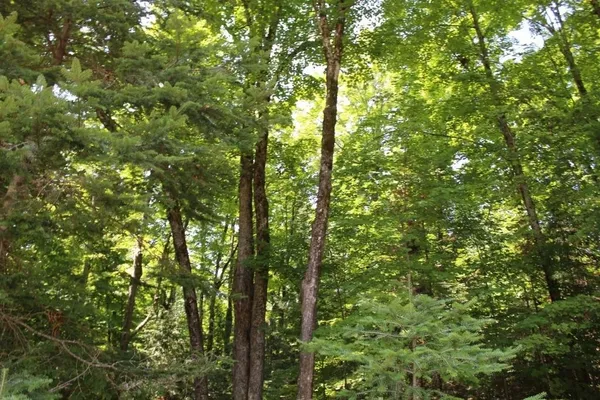 $186,000 | Forest Lane, Unit 3, Pickerel, WI 54465