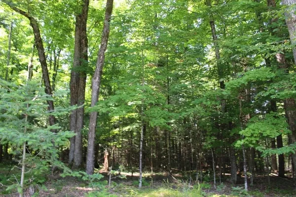 $186,000 | Forest Lane, Unit 3, Pickerel, WI 54465