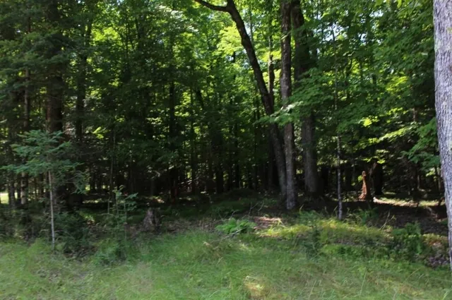 $186,000 | Forest Lane, Unit 3, Pickerel, WI 54465