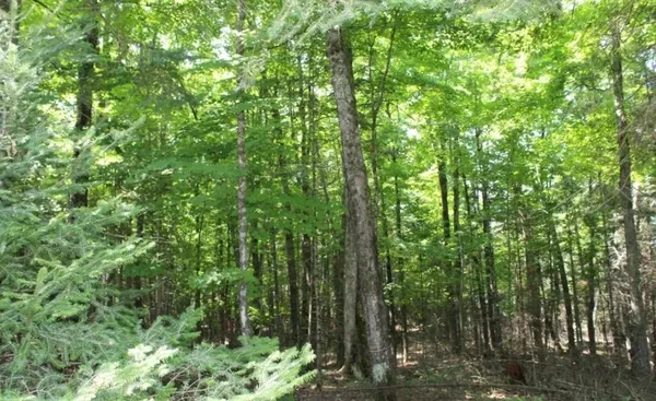 $186,000 | Forest Lane, Unit 3, Pickerel, WI 54465