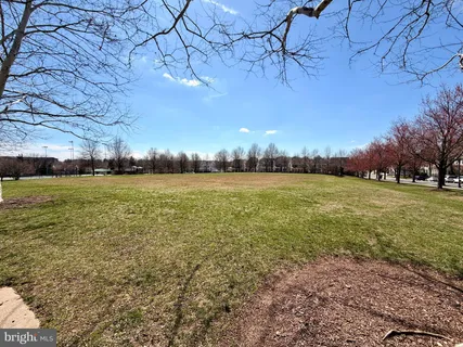 a view of a field with an ocean