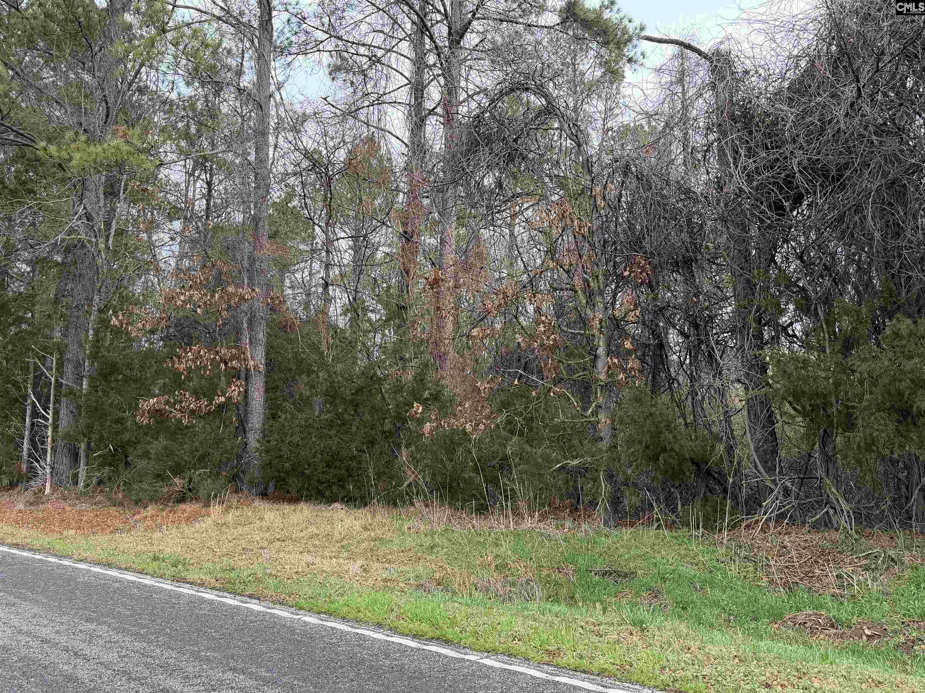 0 St Philips Church Road Prosperity, SC 29127 - Photo 2 of 5