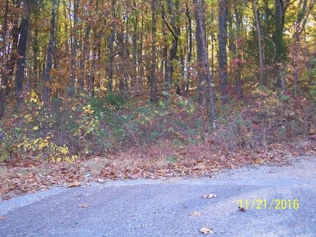 0 Rock Hill Road Southwest Cleveland, TN 37311 - Photo 2 of 2 Gallery Image 2