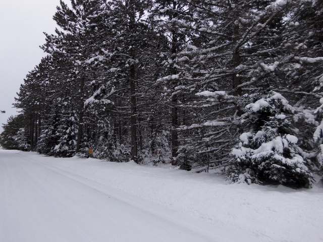 Lot 2 Cth J Mercer, WI 54547 - Photo 12 of 17 Gallery Image 12