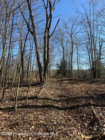$89,000 | 3 Ash Gap Road, Moscow, PA 18444