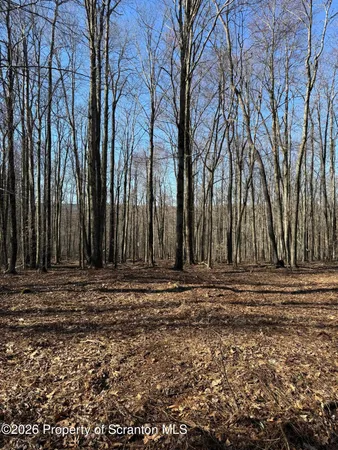 $89,000 | 3 Ash Gap Road, Moscow, PA 18444