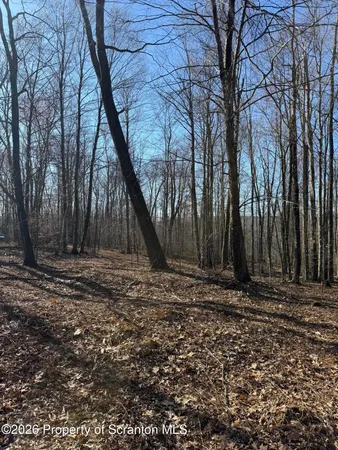 $89,000 | 3 Ash Gap Road, Moscow, PA 18444