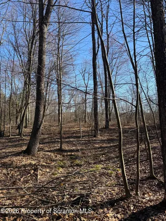 $89,000 | 3 Ash Gap Road, Moscow, PA 18444