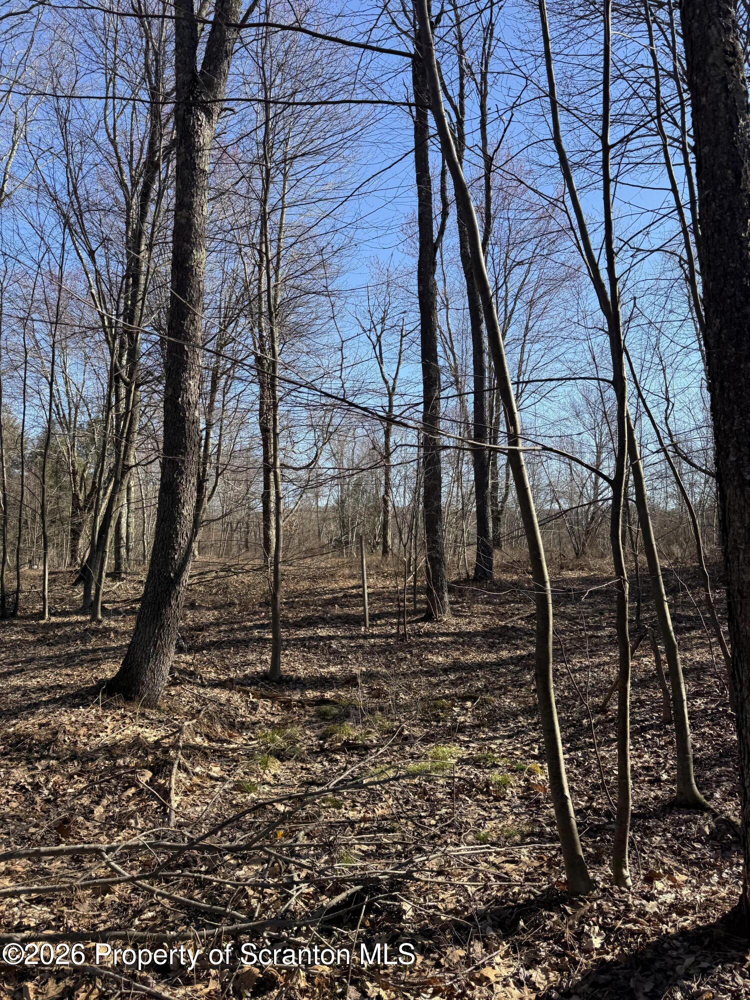 Ash Gap Rd Spring Brook Moscow, PA 18444 - Photo 5 of 11 a backyard of a house with lots of green space