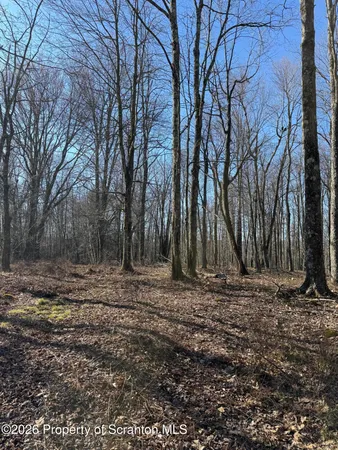 $89,000 | 3 Ash Gap Road, Moscow, PA 18444