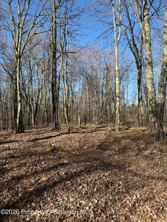$89,000 | 3 Ash Gap Road, Moscow, PA 18444