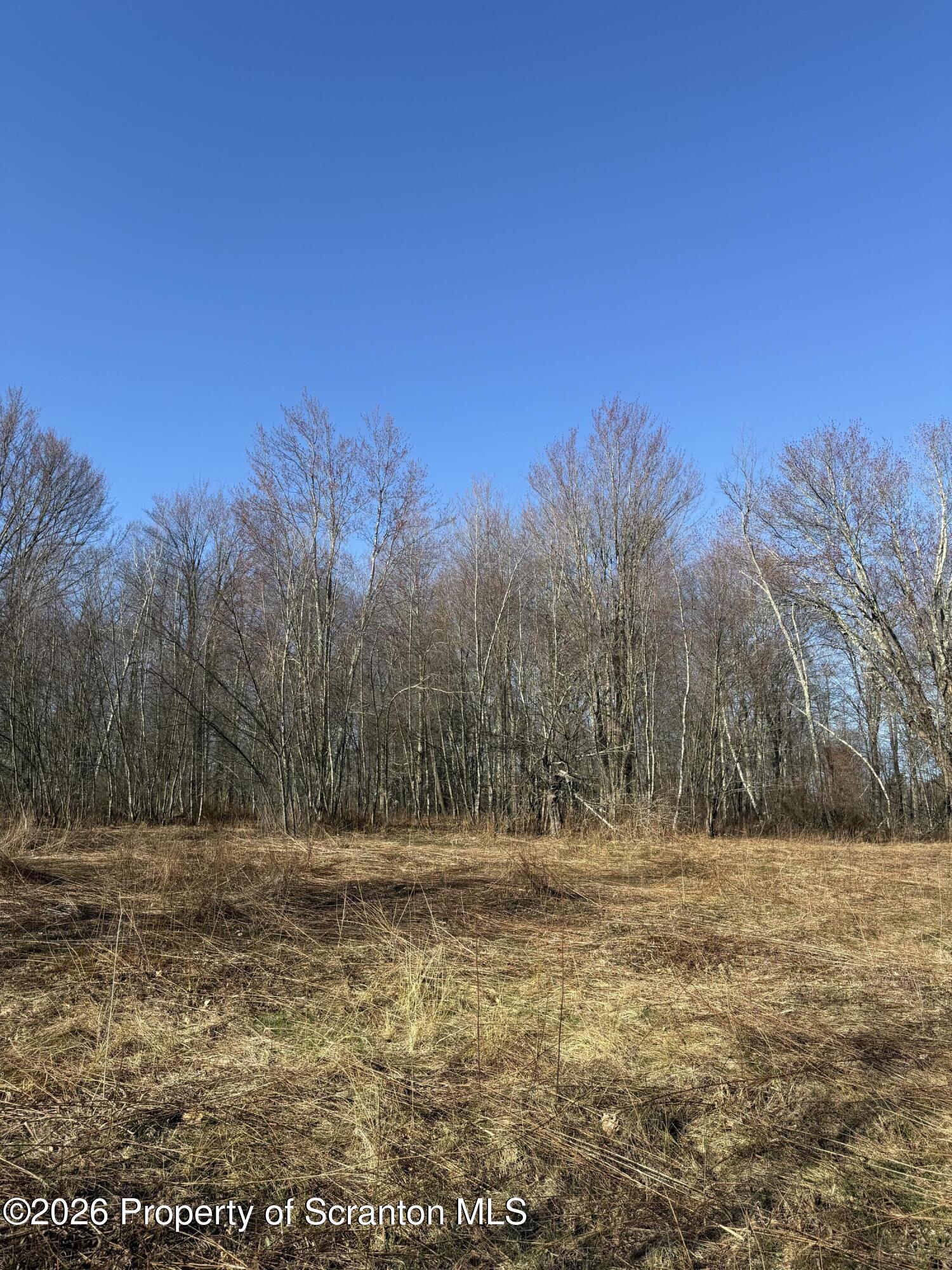 Ash Gap Rd Spring Brook Moscow, PA 18444 - Photo 10 of 11 a view of a yard