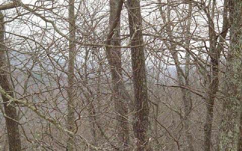 Lot 1 Wolf Mountain Road Murphy, NC 28906 - Photo 1 of 1 Main View
