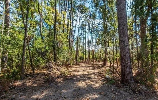 $15,900 | 82 La Highway, Holden, LA 70744