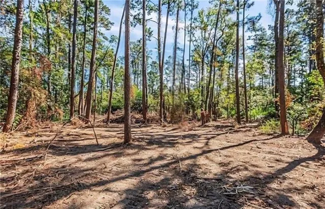 $15,900 | 82 La Highway, Holden, LA 70744