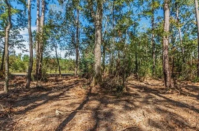 $15,900 | 82 La Highway, Holden, LA 70744