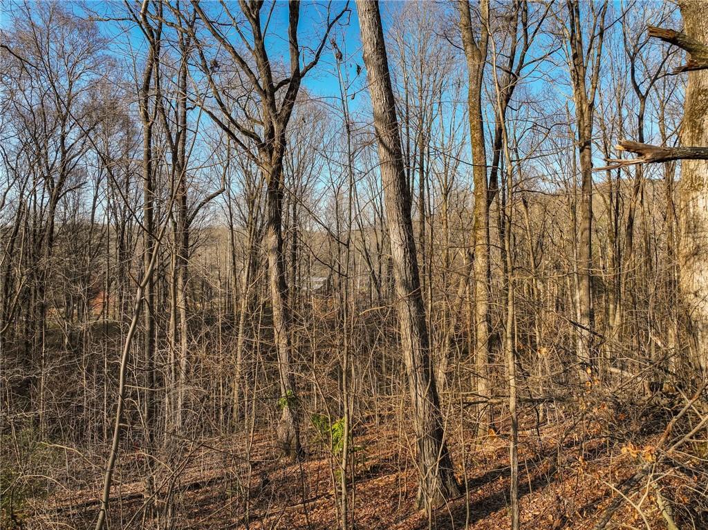 Lot 12 Mount Mincie Road Murrayville, GA 30564 - Photo 11 of 13 a view of a yard of the building