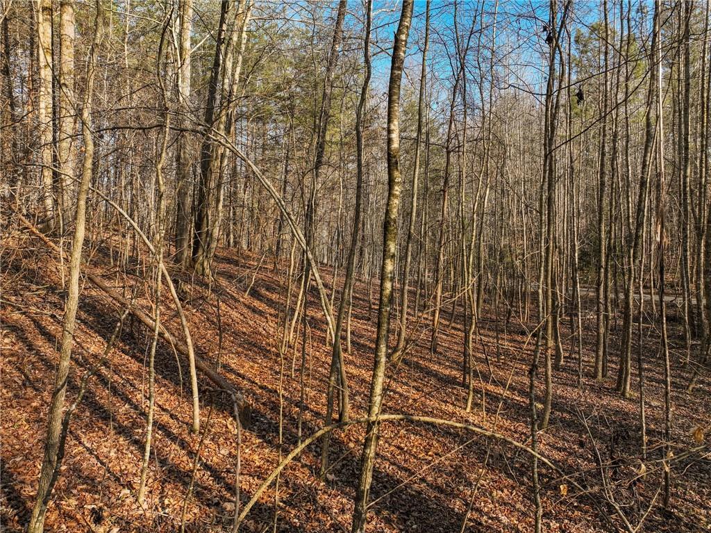 Lot 12 Mount Mincie Road Murrayville, GA 30564 - Photo 12 of 13