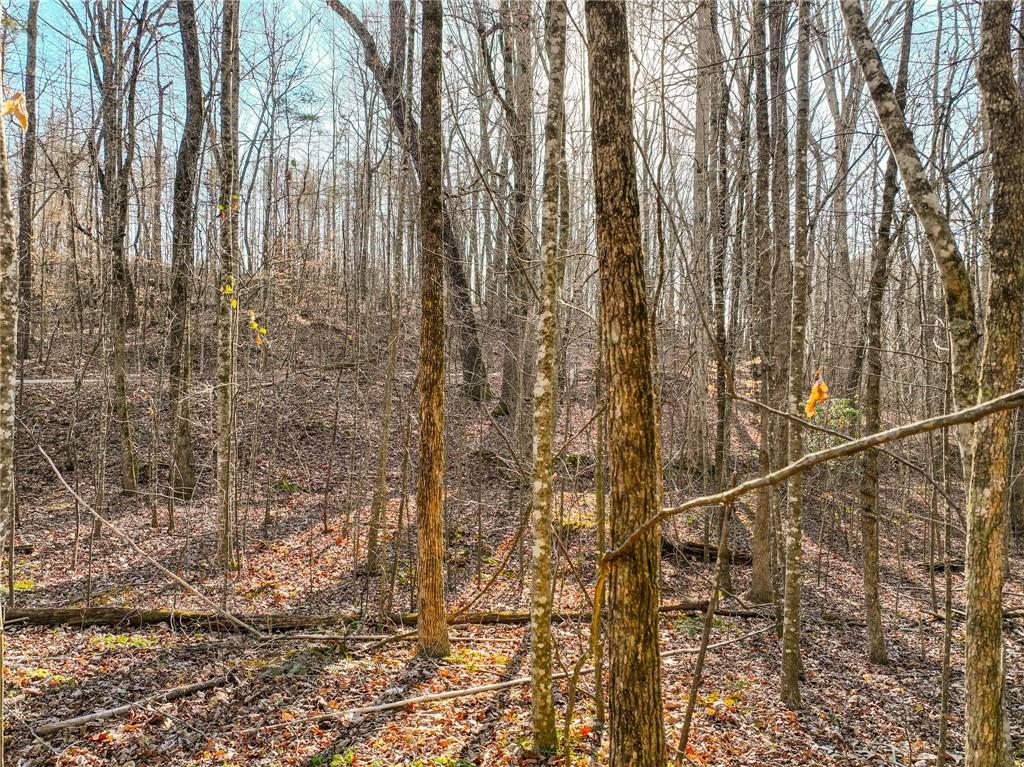 Lot 12 Mount Mincie Road Murrayville, GA 30564 - Photo 2 of 13 a bathroom with a shower