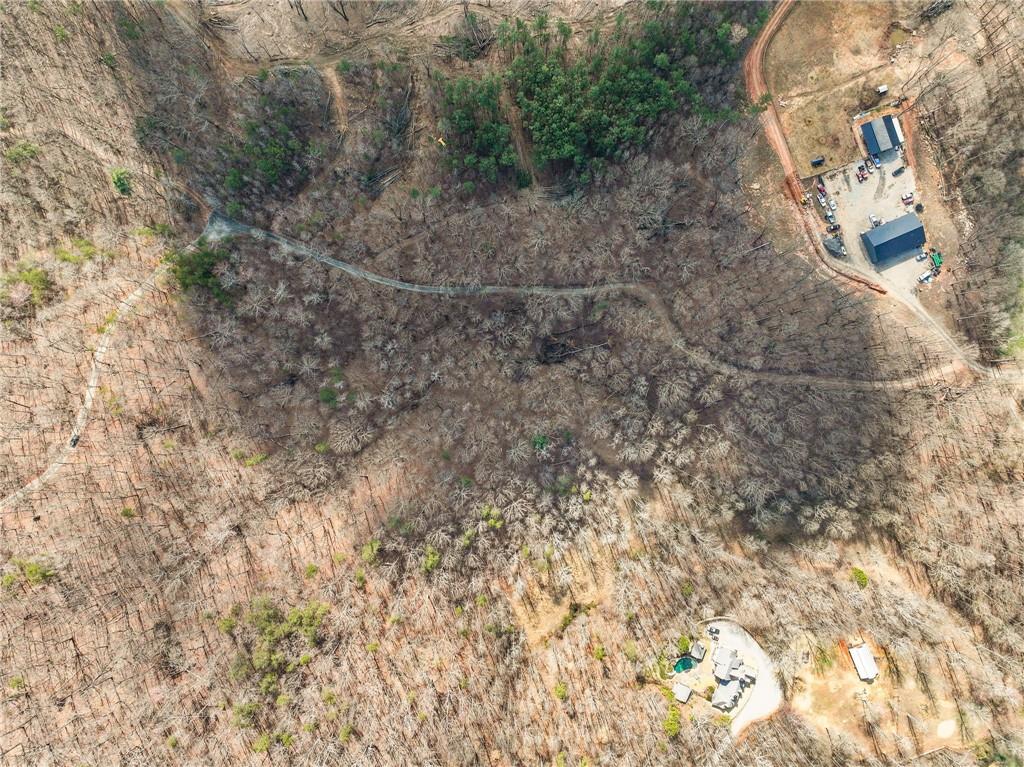 Lot 12 Mount Mincie Road Murrayville, GA 30564 - Photo 5 of 13 a view of a dry yard with trees