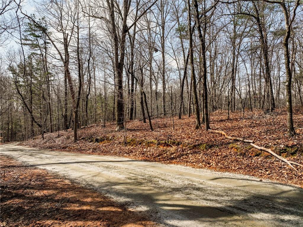 Lot 12 Mount Mincie Road Murrayville, GA 30564 - Photo 6 of 13 a view of a backyard with large trees