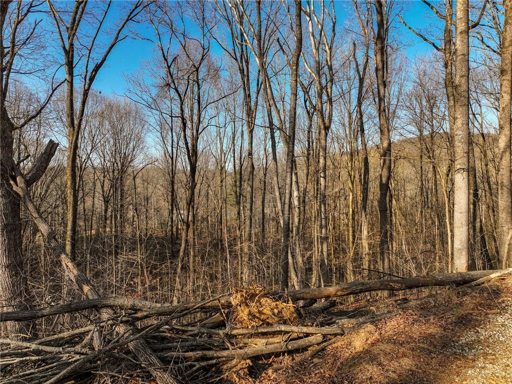 Lot 12 Mount Mincie Road Murrayville, GA 30564 - Photo 7 of 13 a view of a backyard of the house