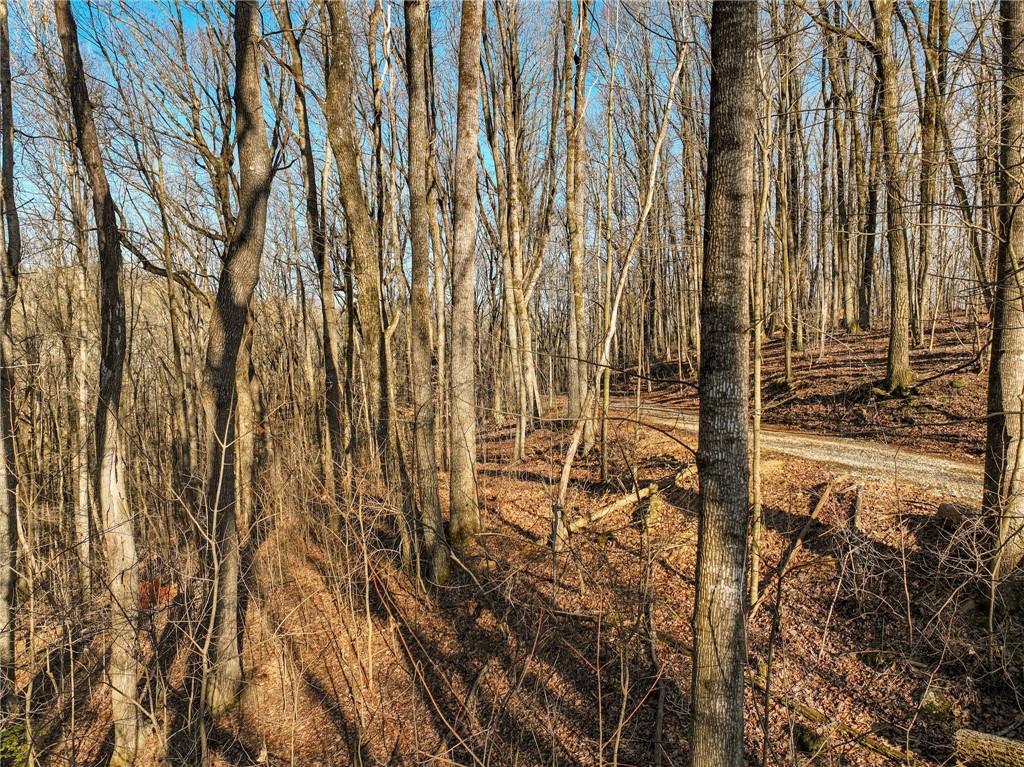 Lot 12 Mount Mincie Road Murrayville, GA 30564 - Photo 8 of 13 a view of tall trees