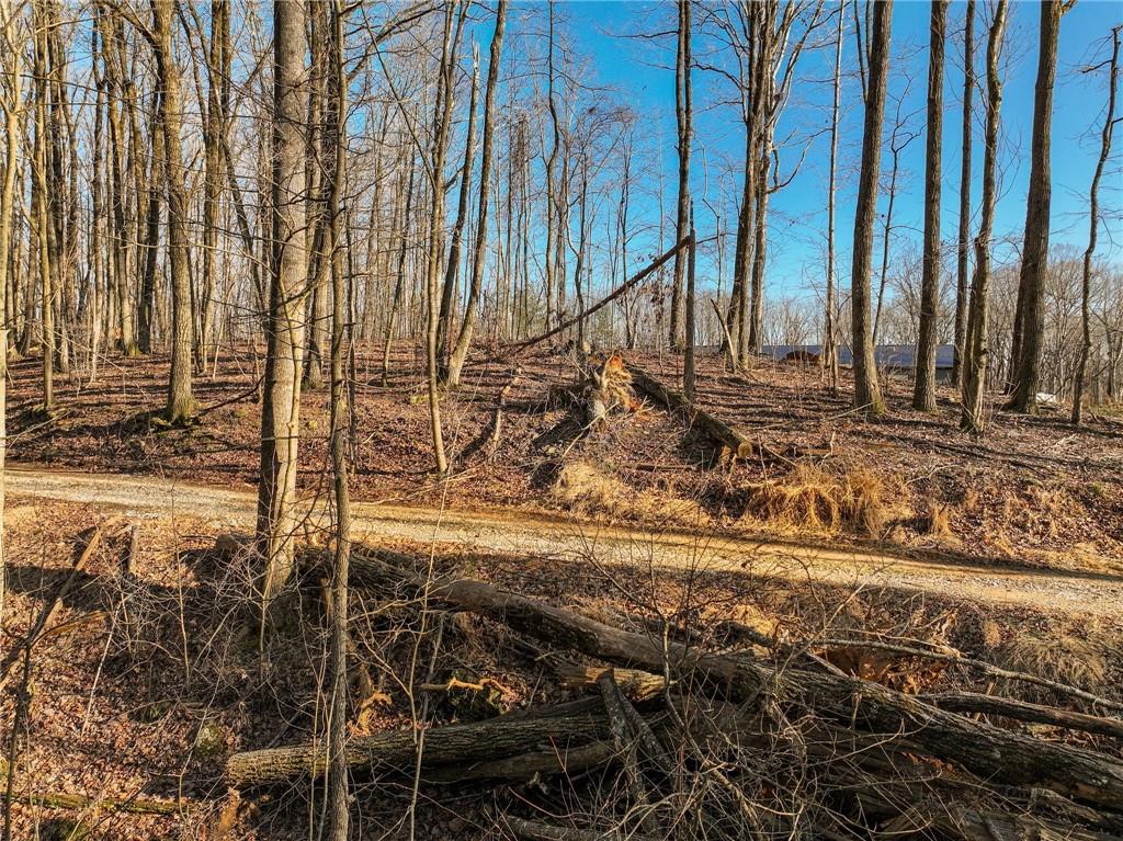 Lot 12 Mount Mincie Road Murrayville, GA 30564 - Photo 9 of 13 a view of a yard with chairs