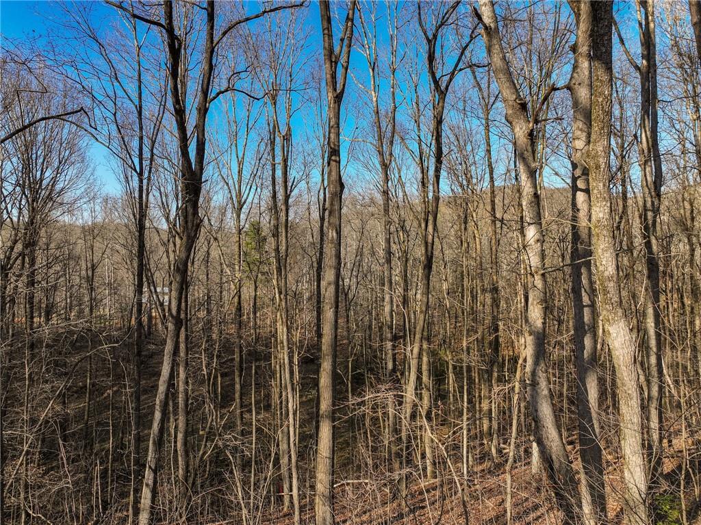 Lot 12 Mount Mincie Road Murrayville, GA 30564 - Photo 10 of 13