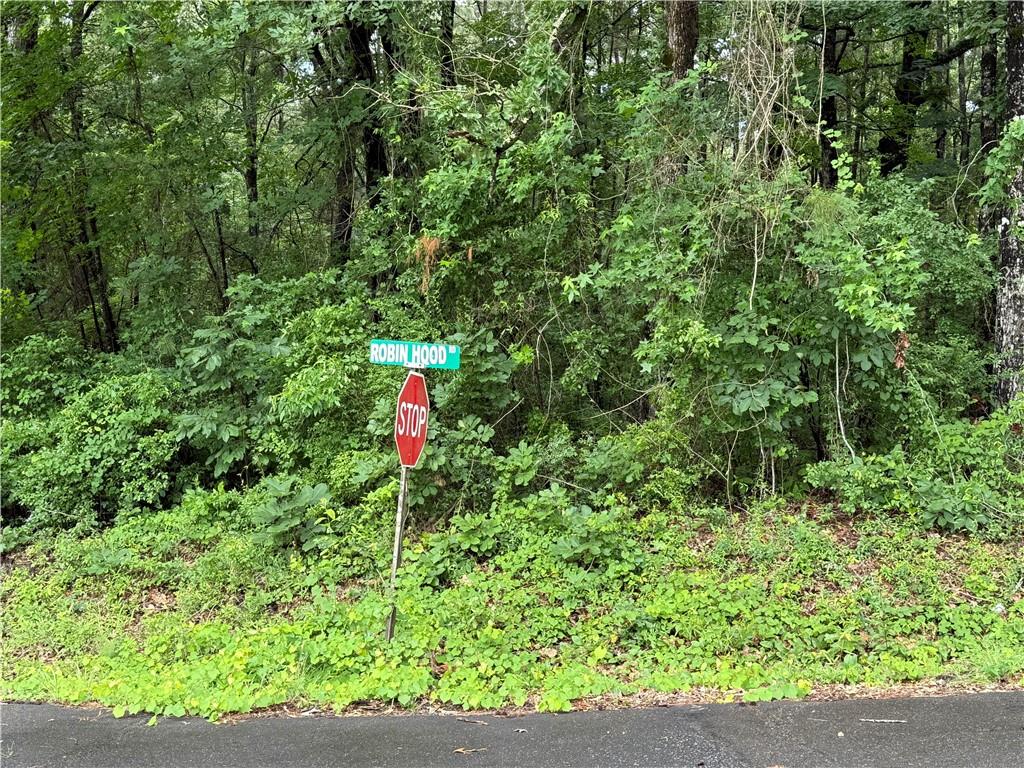 178 Robin Hood Road Dry Prong, LA 71423 - Photo 43 of 47