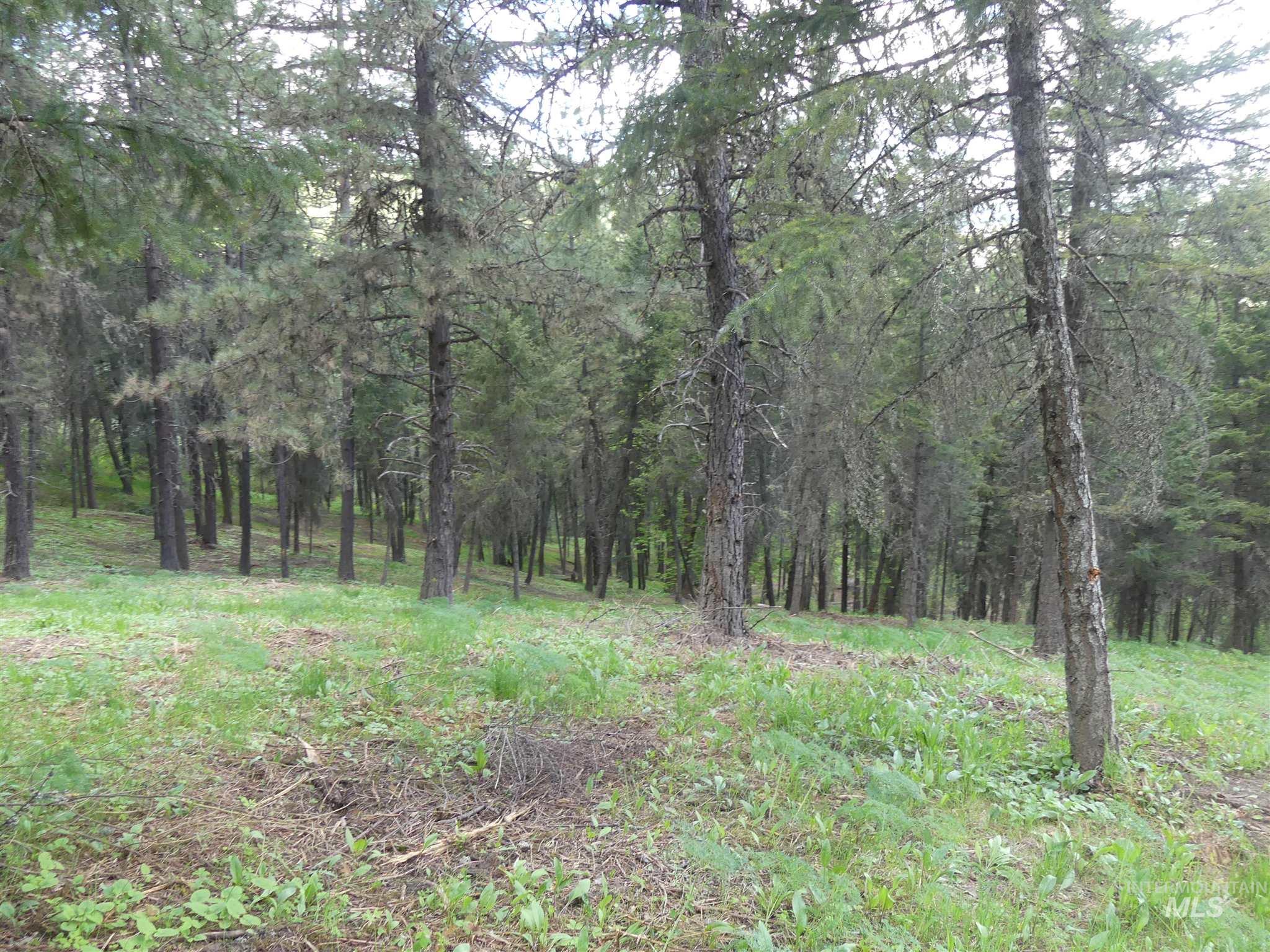 22743 Old Melrose Grade Road Peck, ID 83545 - Photo 32 of 45