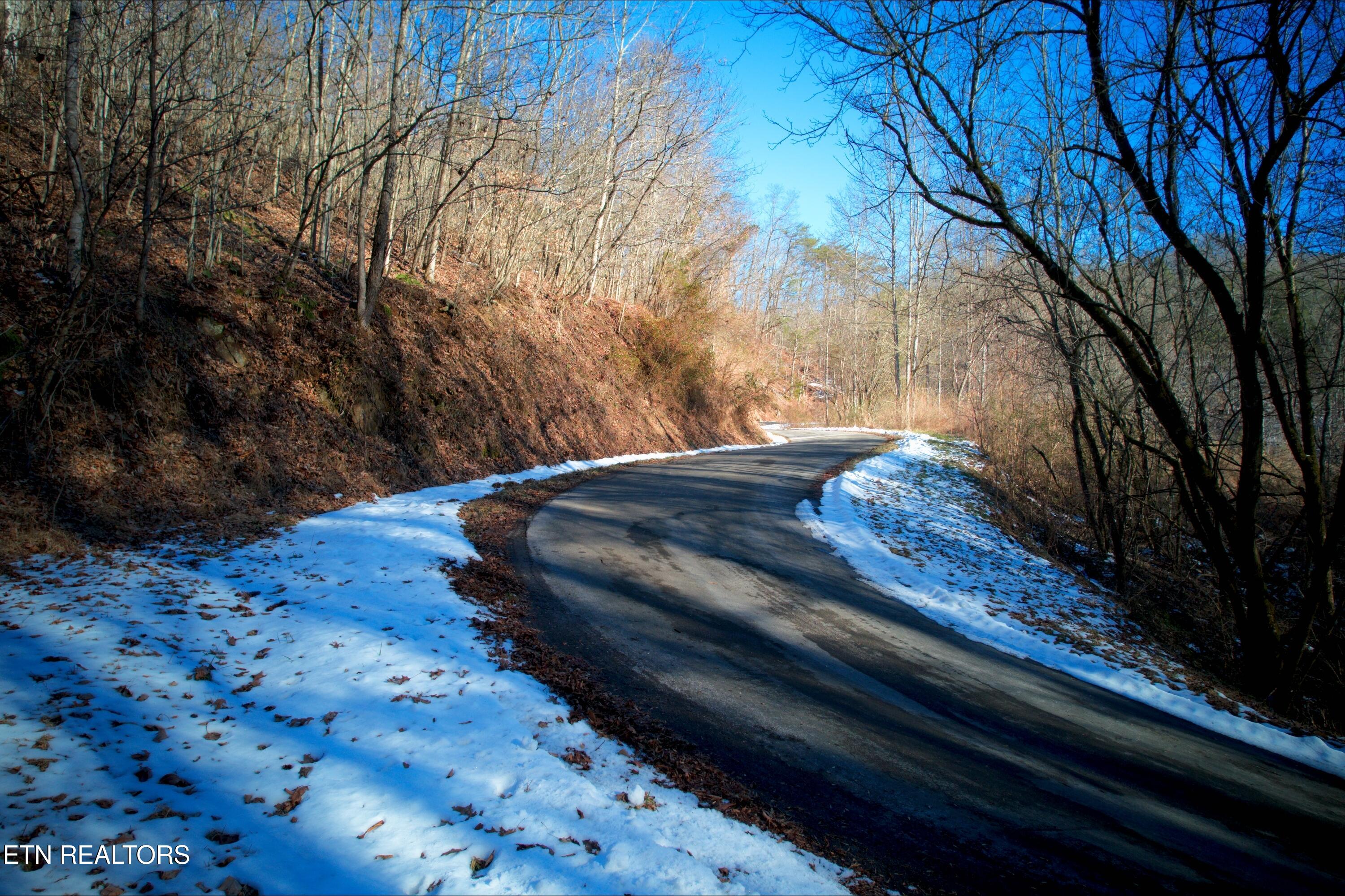 0 Speers Valley Road Duffield, VA 24244 - Photo 14 of 19 14) 67812-69935260152b9