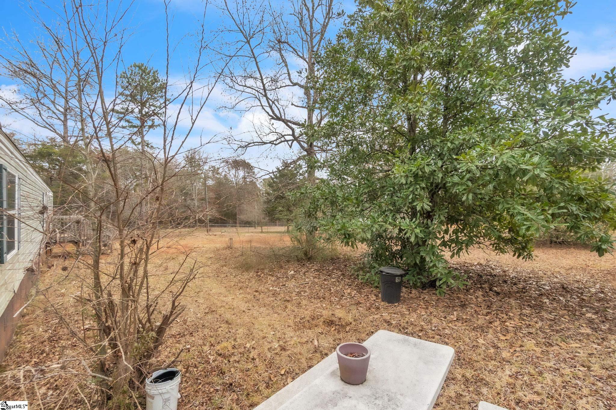 145 Shaw Ridge Drive Woodruff, SC 29388 - Photo 22 of 28