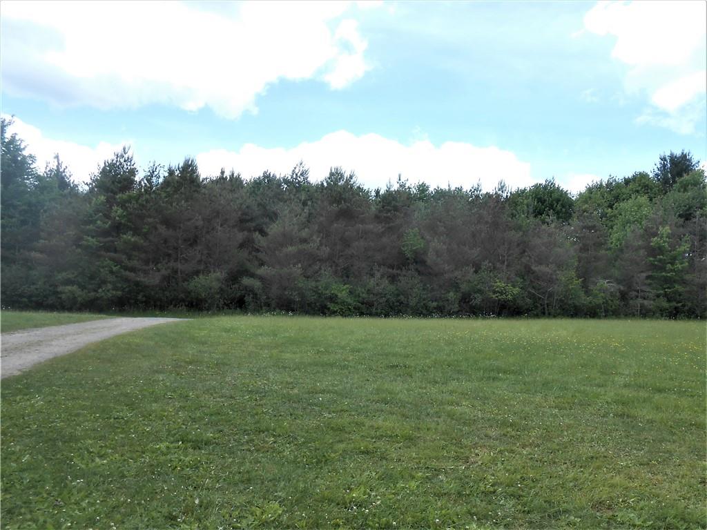 239 Malin Road Ridgway, PA 15853 - Photo 5 of 10 a view of field with trees in the background
