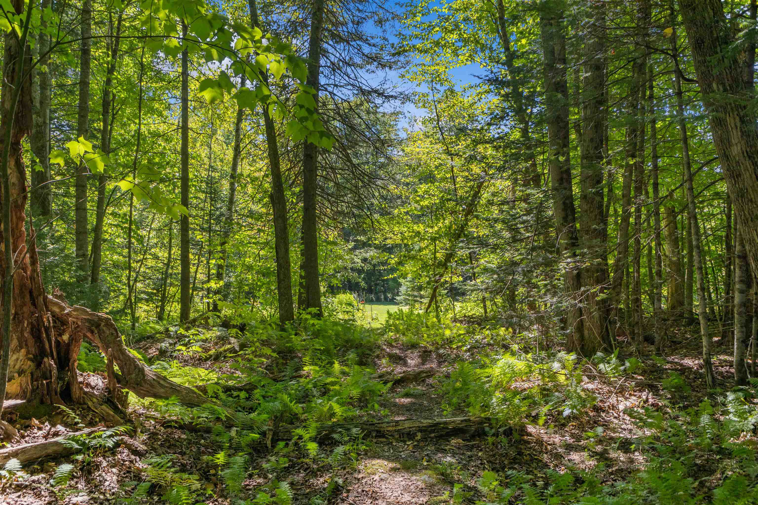 570 West Hill Road Middlesex, VT 05682 - Photo 48 of 60 Gallery Image 48