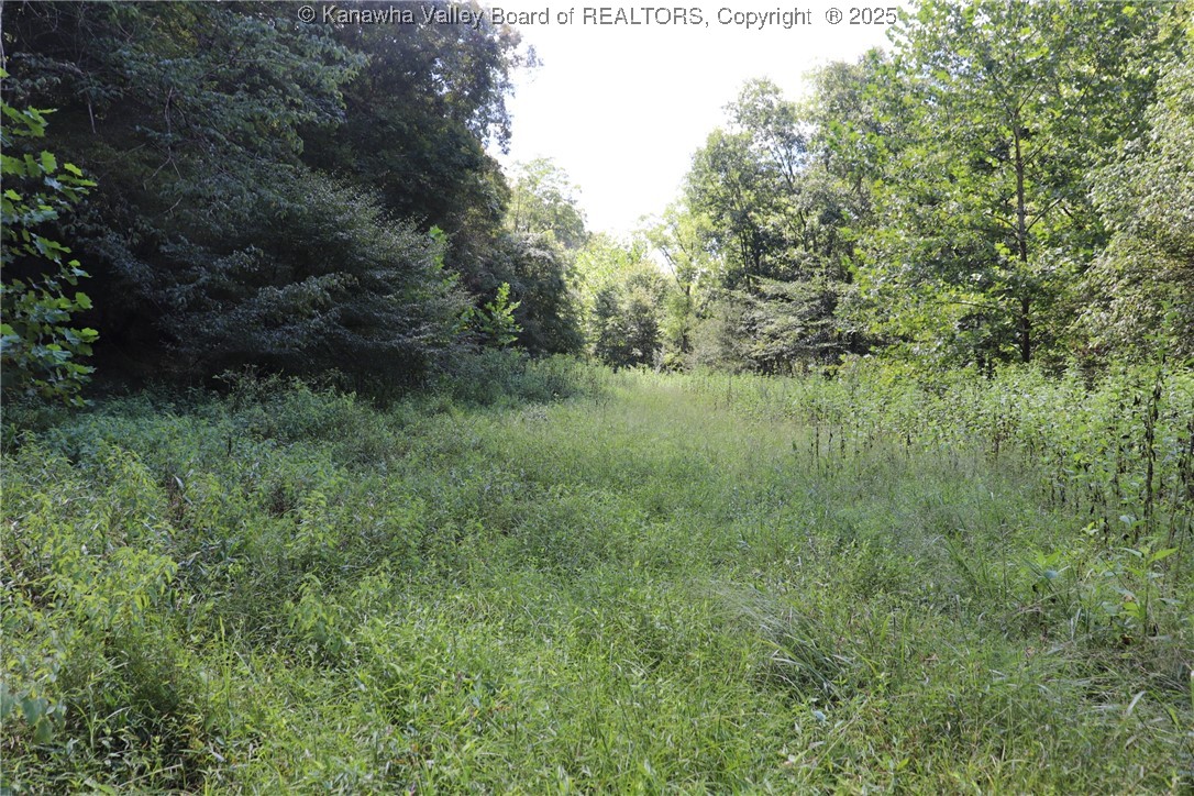 411 Foxtrot Road Looneyville, WV 25259 - Photo 41 of 48 Gallery Image 41