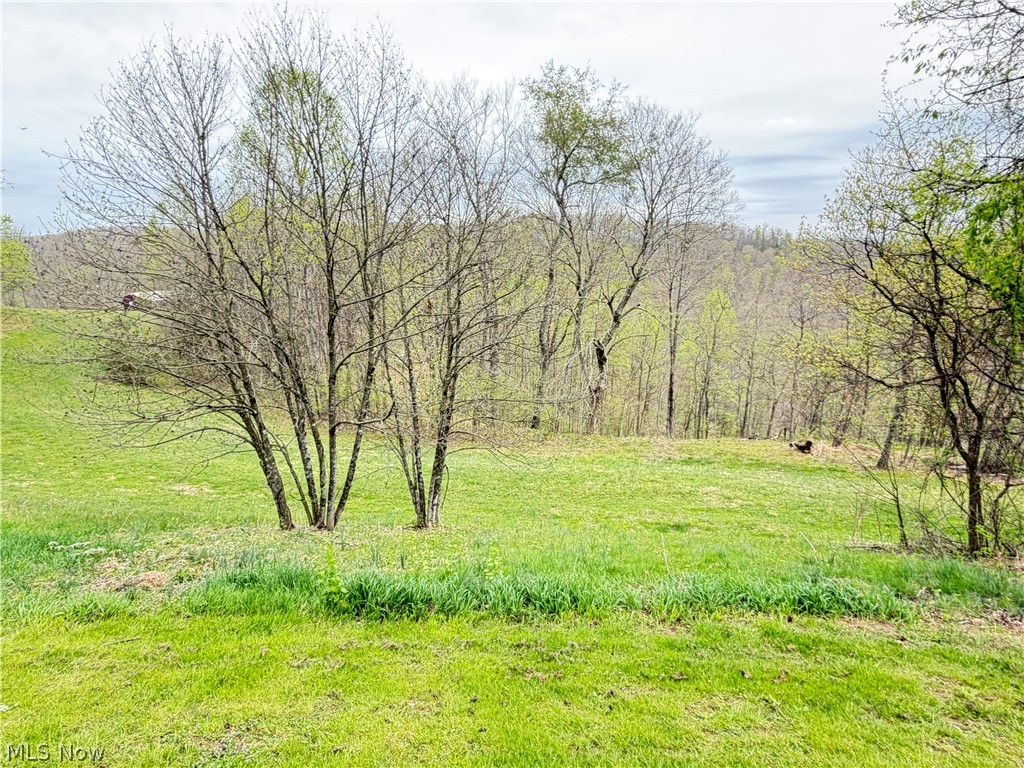 441 Tower Road Elizabeth, WV 26143 - Photo 5 of 28