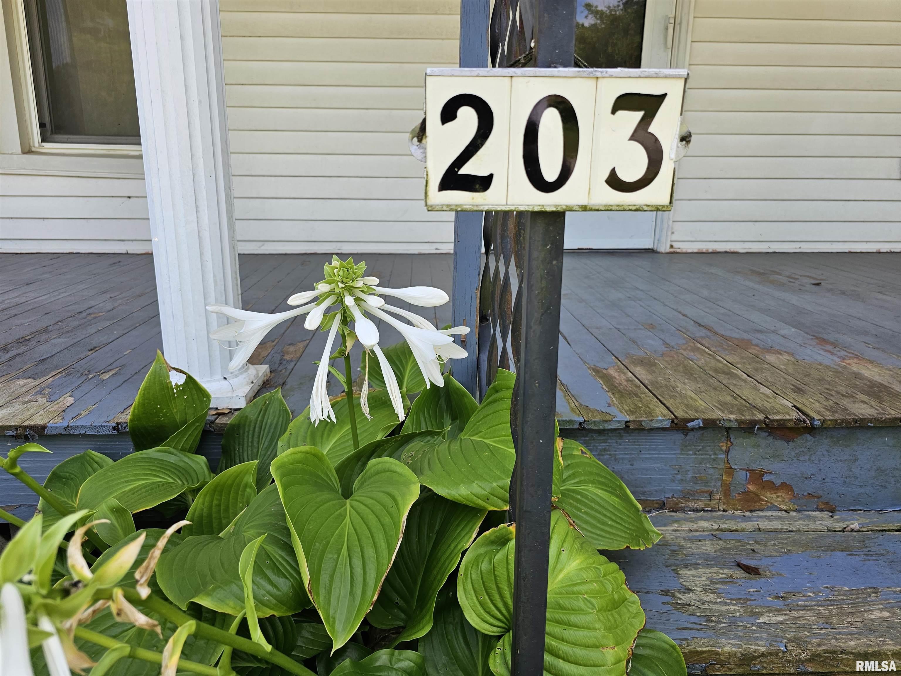 203 Hart Street Franklin, IL 62638 - Photo 2 of 30