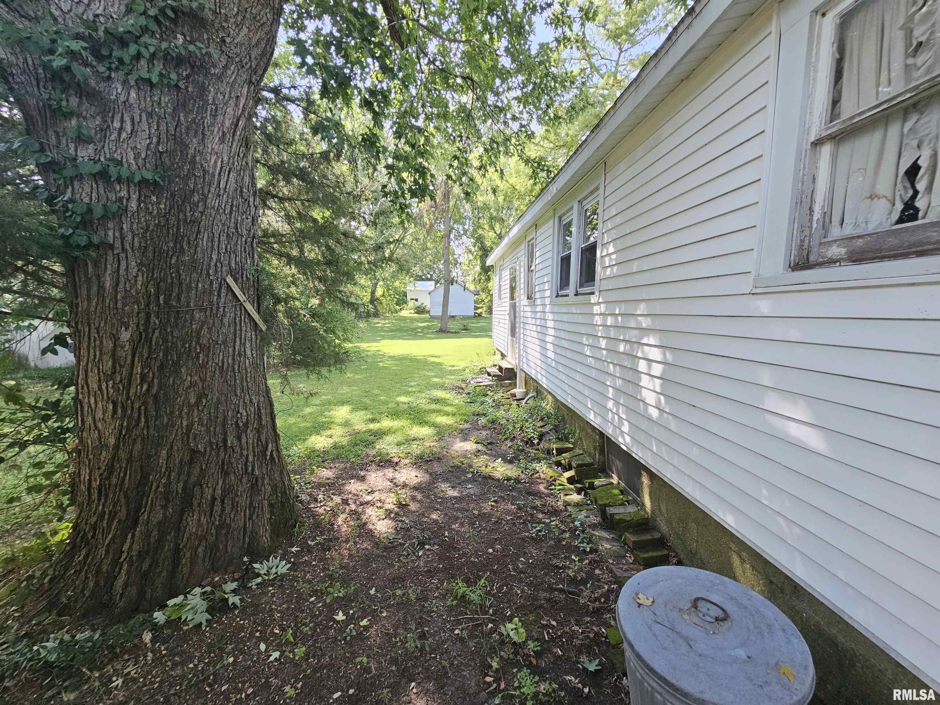 203 Hart Street Franklin, IL 62638 - Photo 3 of 30