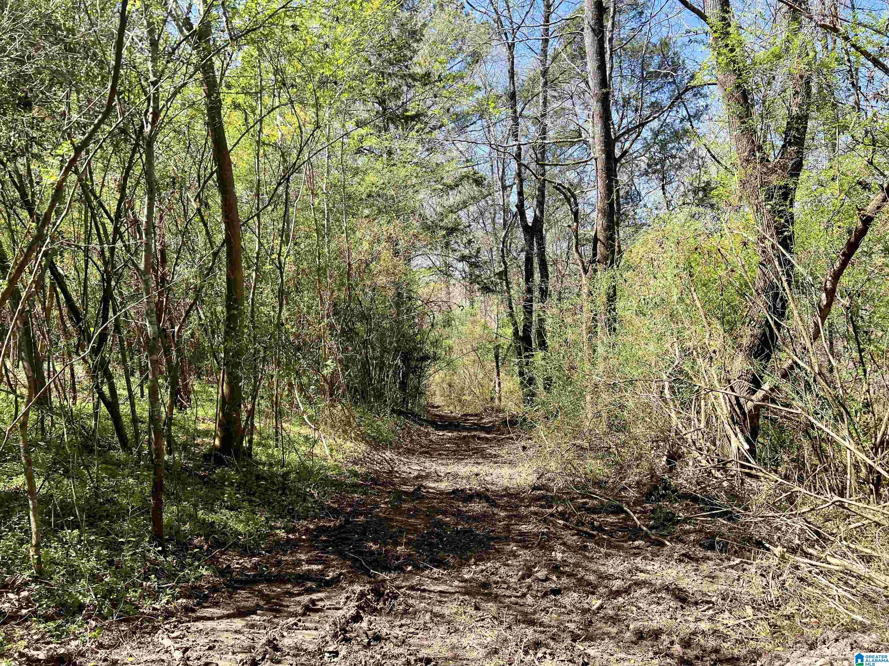 6478 Red Hollow Road, Unit 240 Birmingham, AL 35215 - Photo 15 of 38