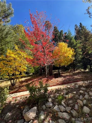a backyard of a house with a mountain