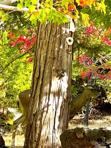 a picture of flowers