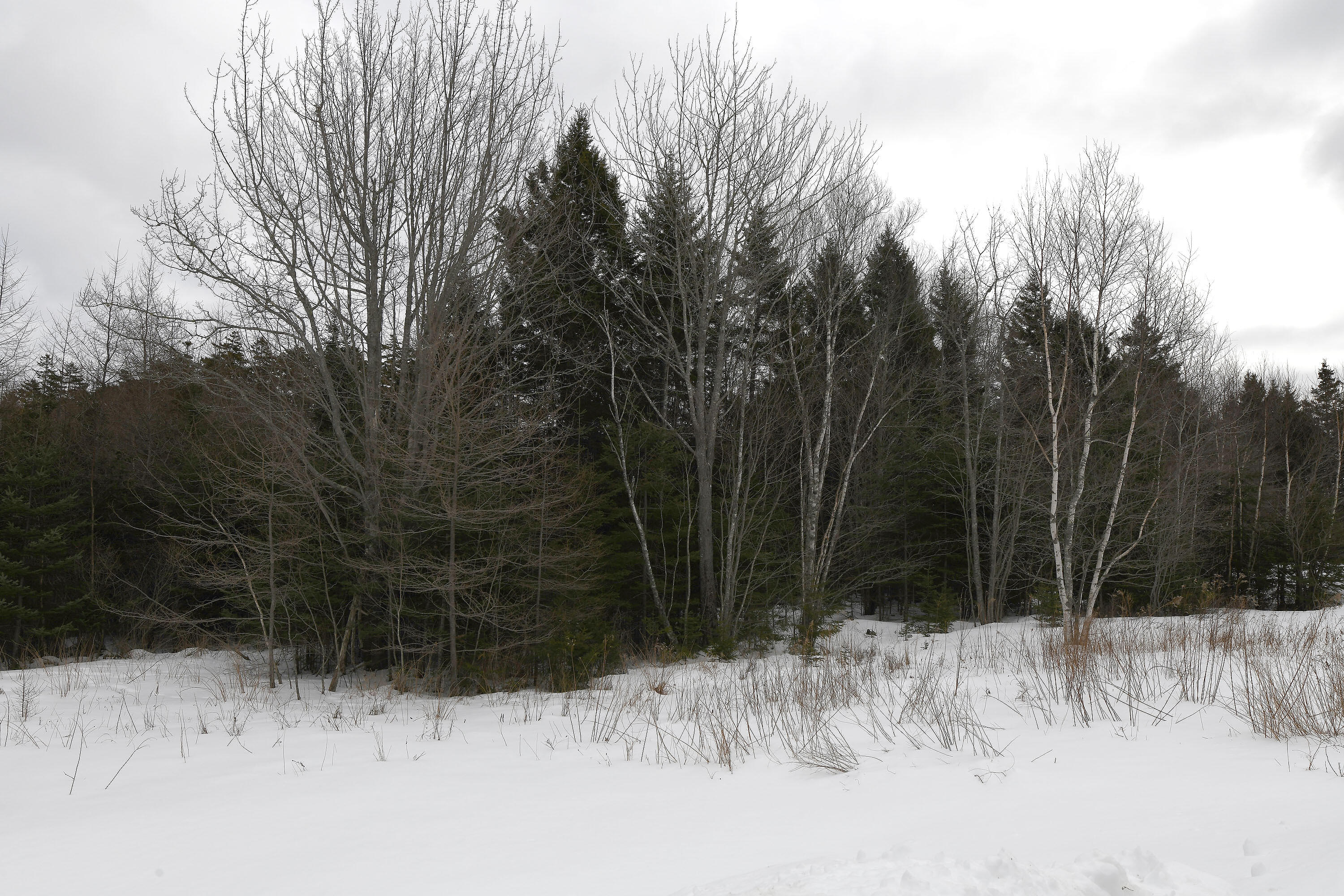 12 Lindsay's Road Deer Isle, ME 04627 - Photo 11 of 18 12Lindsay_013