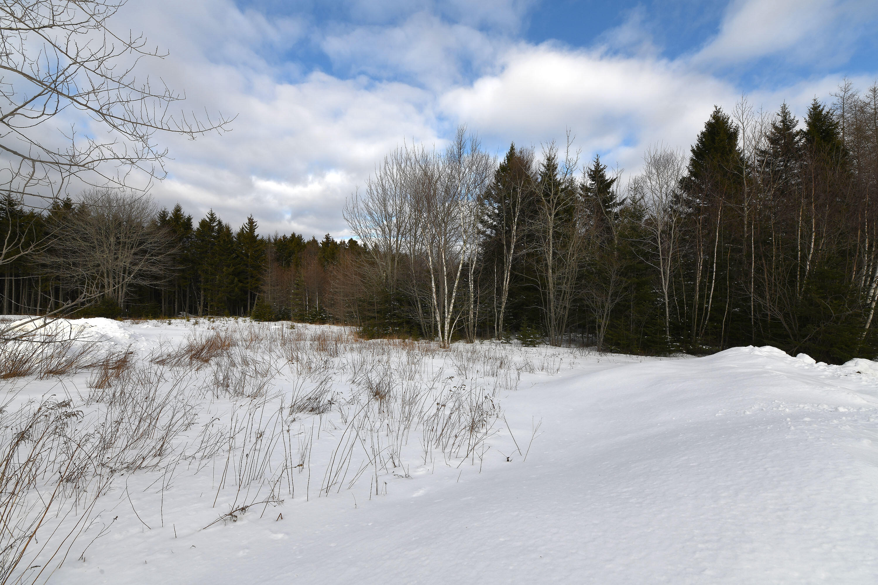 12 Lindsay's Road Deer Isle, ME 04627 - Photo 12 of 18 12Lindsay_014