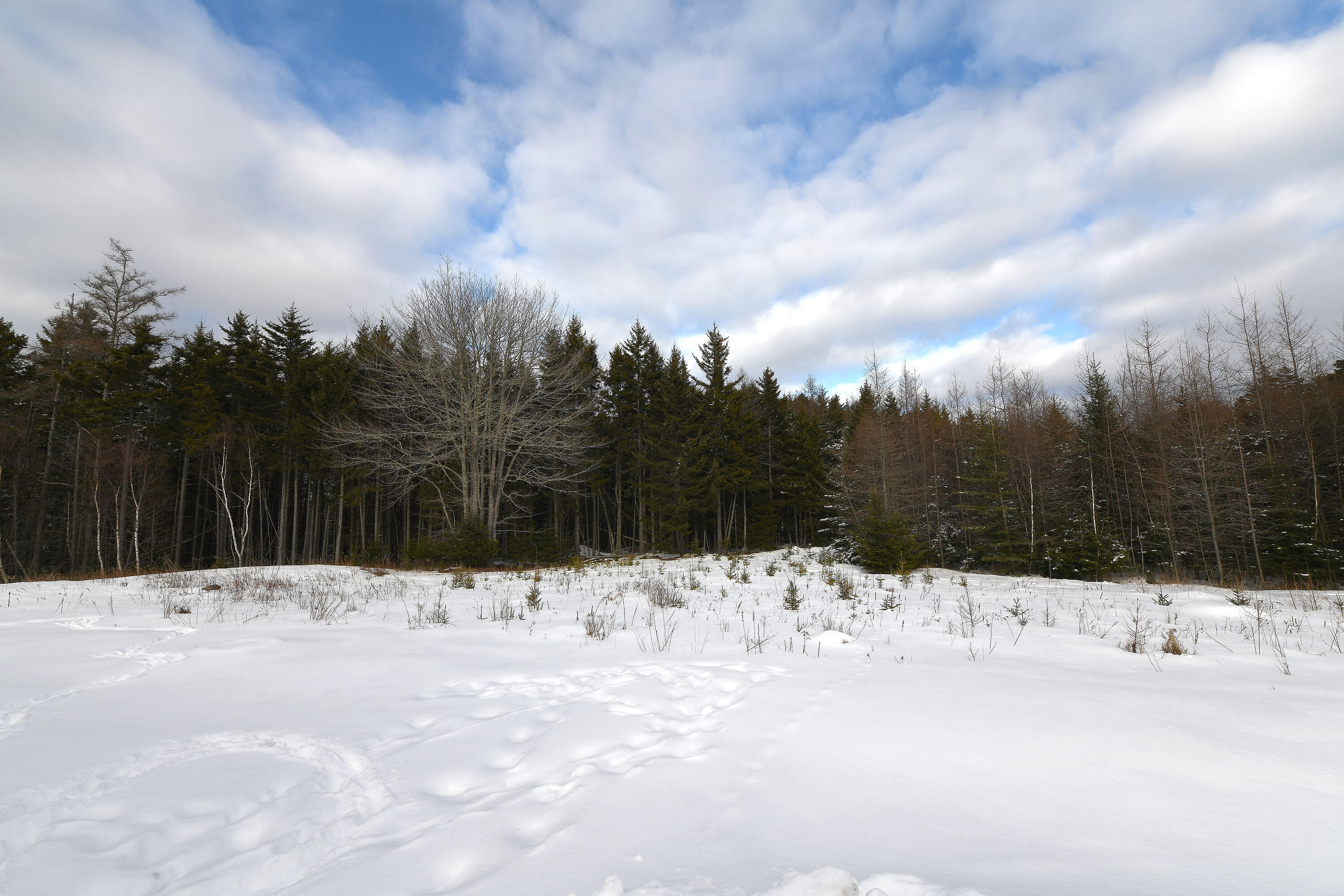 12 Lindsay's Road Deer Isle, ME 04627 - Photo 13 of 18 12Lindsay_015