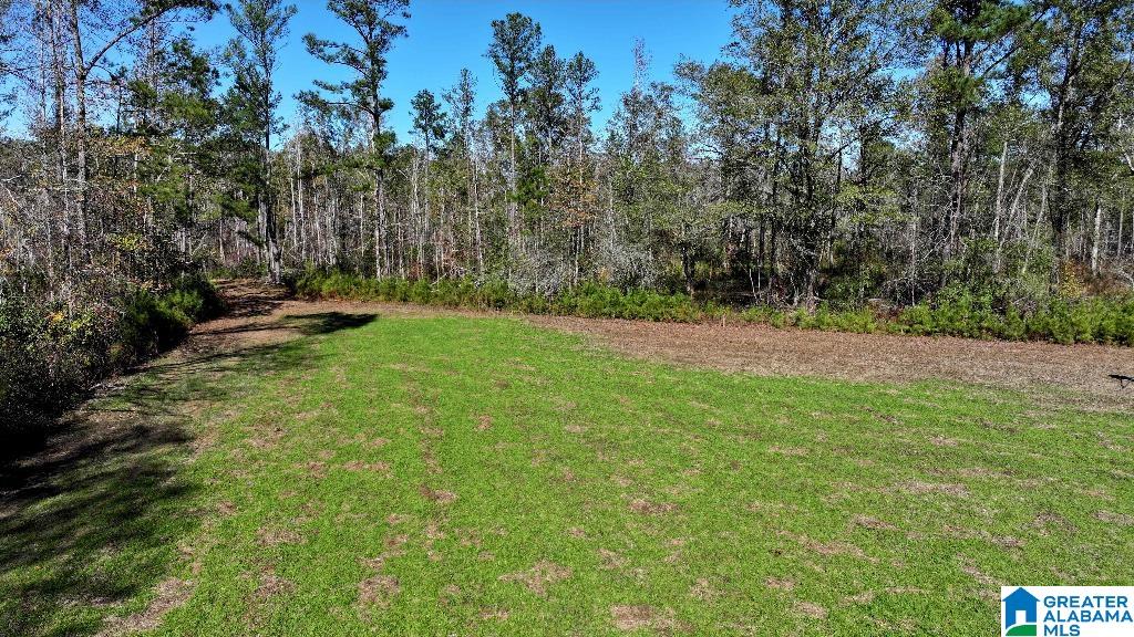 200 Kelly Creek Road Odenville, AL 35120 - Photo 33 of 47