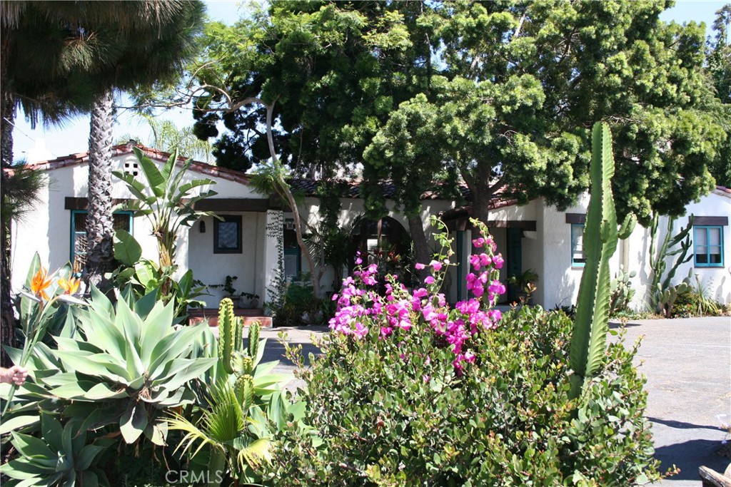 a flower plants and a tree in front of the house