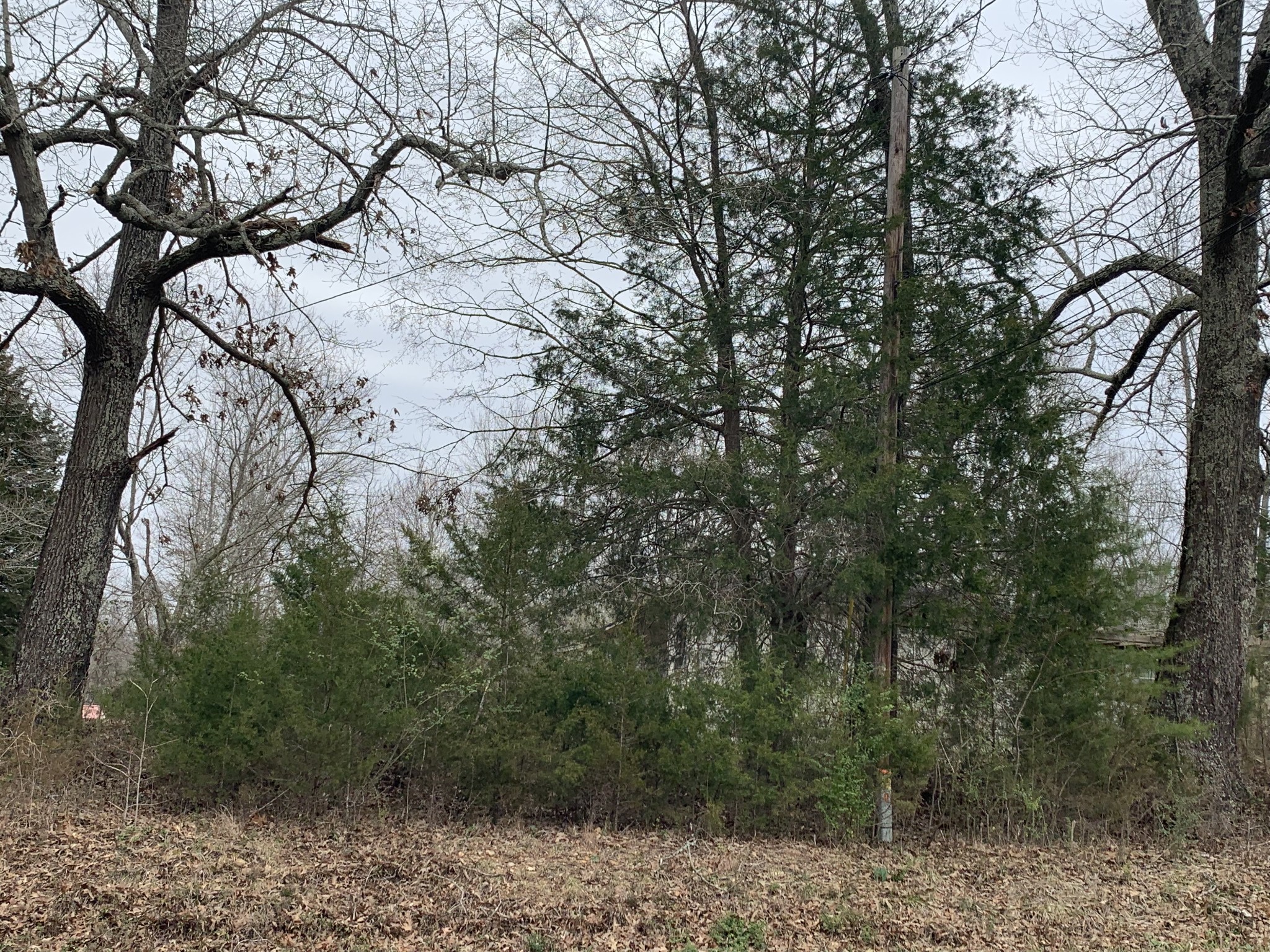 2227 Ferry Road Clarksville, TN 37040 - Photo 5 of 5 Gallery Image 5