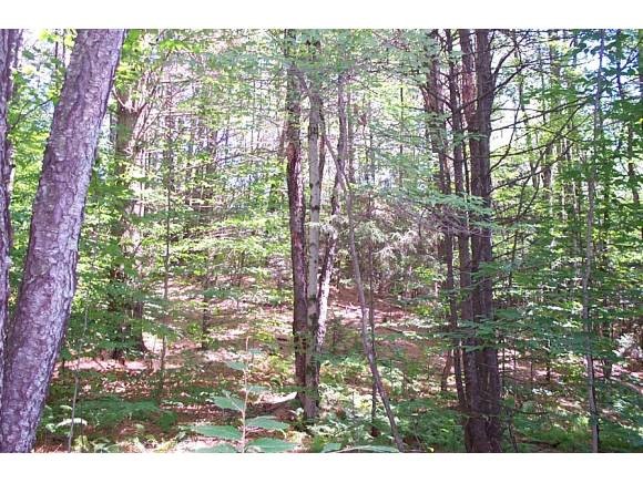 3314 Mountain Road Stowe, VT 05672 - Photo 5 of 7 Gallery Image 5